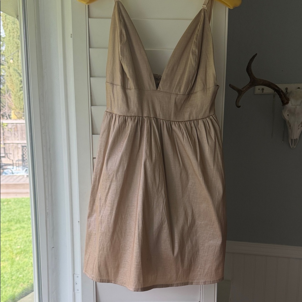 Windsor Shimmery Dress